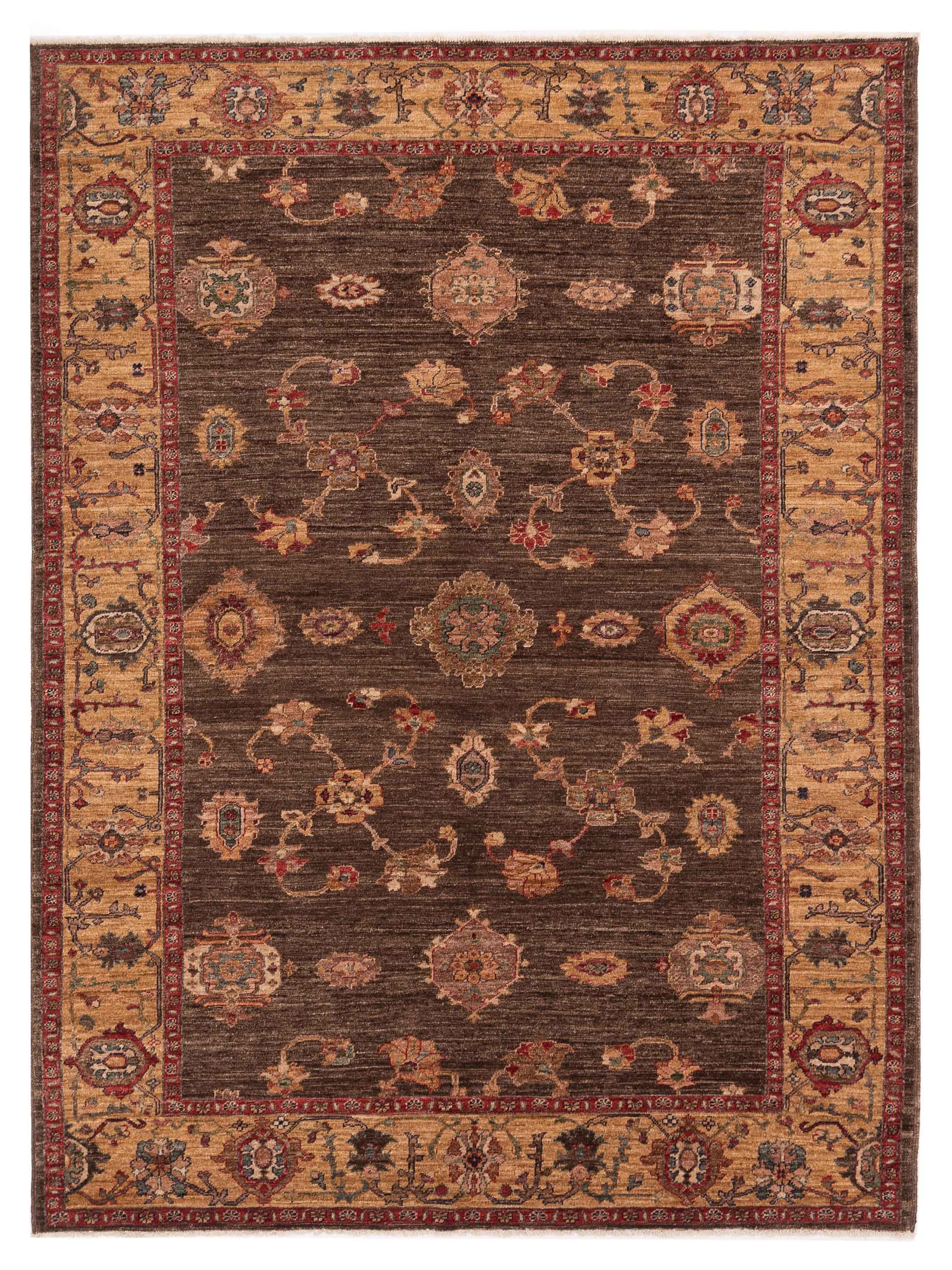 Elvan Traditional Brown Gold 6x9 Area Rug	