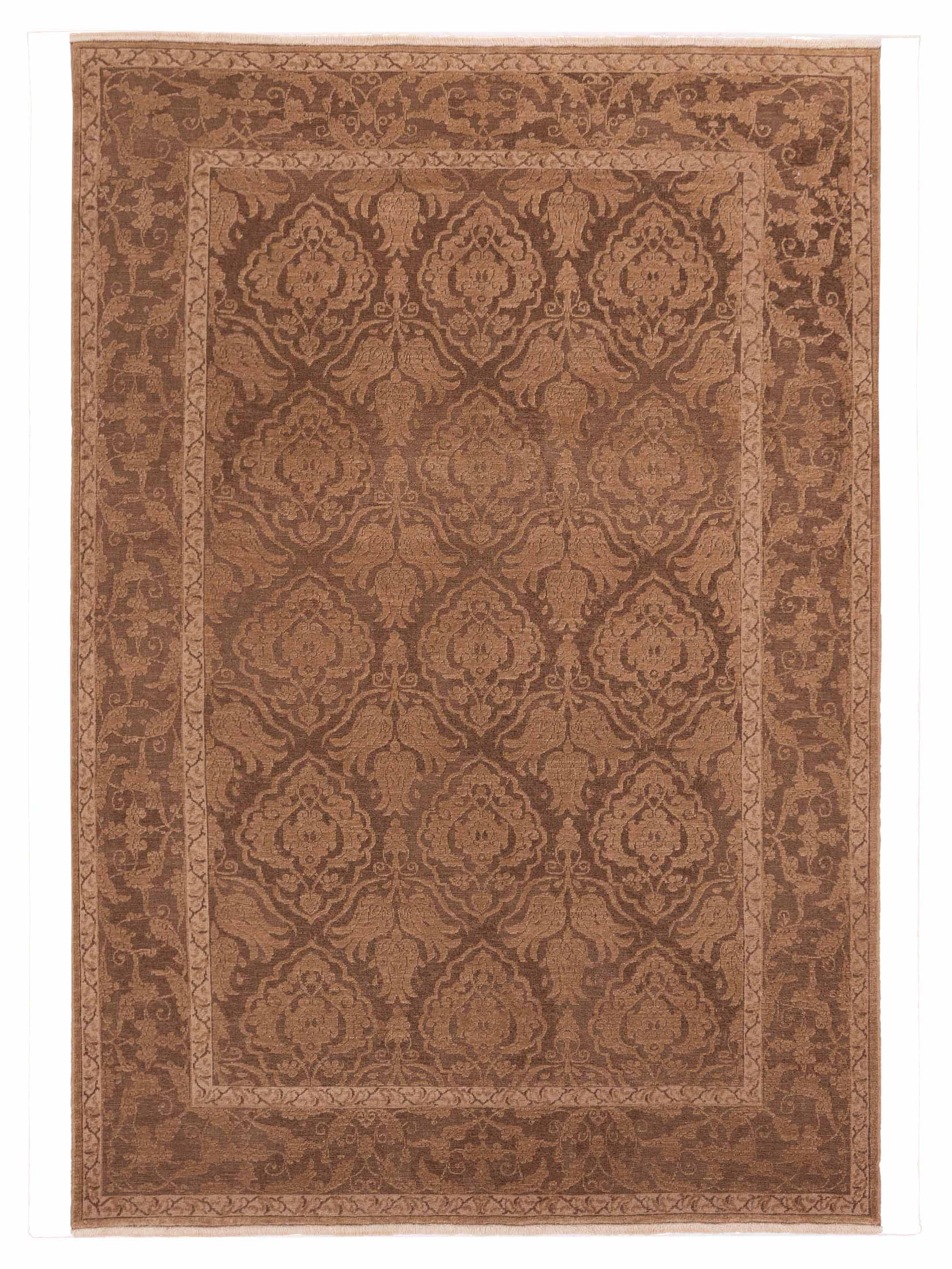 Transitional Brown 6x9 Area Rug	