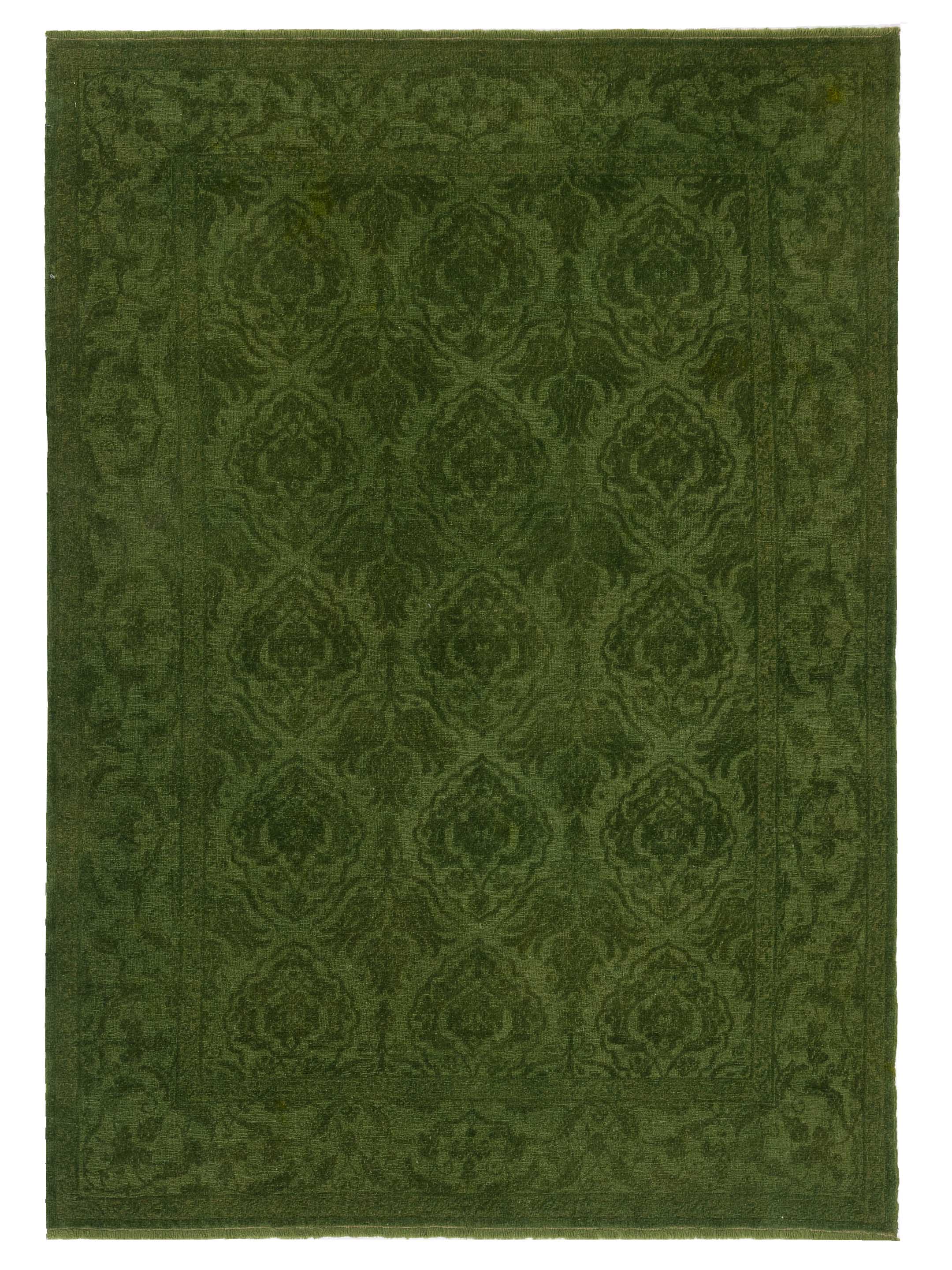 Transitional Green 6x9 Area Rug	