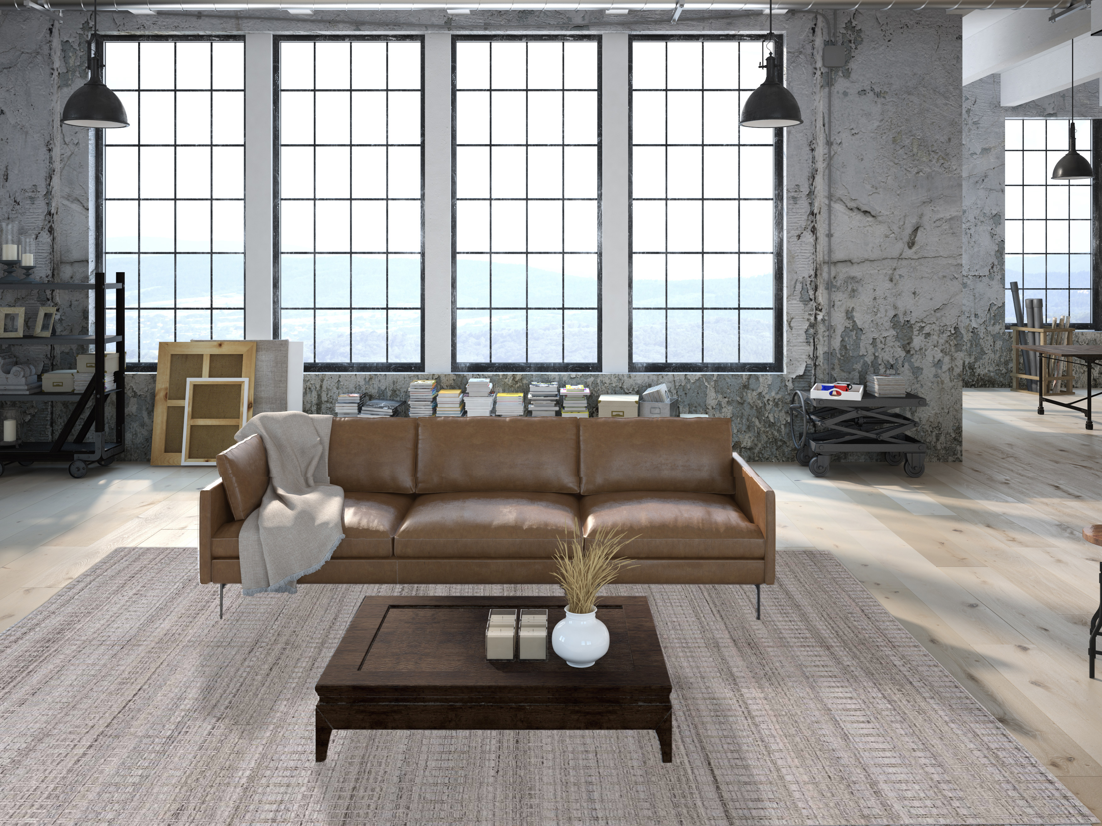 Room scene for modern contemporary himalayan rug